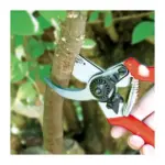 Nožnice AQUACRAFT® 330550 sú robustným a spoľahlivým nástrojom určeným na náročné záhradnícke práce. S kovanou konštrukciou a presne brúsenou čepeľou sú ideálnou voľbou pre profesionálov aj nadšených záhradníkov.