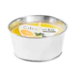Sviečka Citronella vo vedierku prevonia Váš domov sviežou citrusovou vôňou. Obsahuje 3% vonnej zložky. Približná doba horenia : 10 hodín. Váha vosku: 130 g. Rozmery : 120x60 mm.