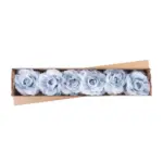 Dekorácia MagicHome pivónia so stonkou dotvorí čarokrásnu atmosféru vo vašom domove. Farba je modrá. Veľkosť kvetu je 16 cm a dĺžka kvetu je 24 cm. Balenie obsahuje 6 kusov.