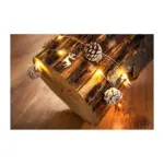 Farba LED je teplá biela a počet LED je 20. Farba drôtu je strieborná. Disponuje funkciou jednoduchého svietenia a spínačom ON/OFF. Dĺžka napájacieho kábla je 30 cm. Dĺžka LED reťaze je 1