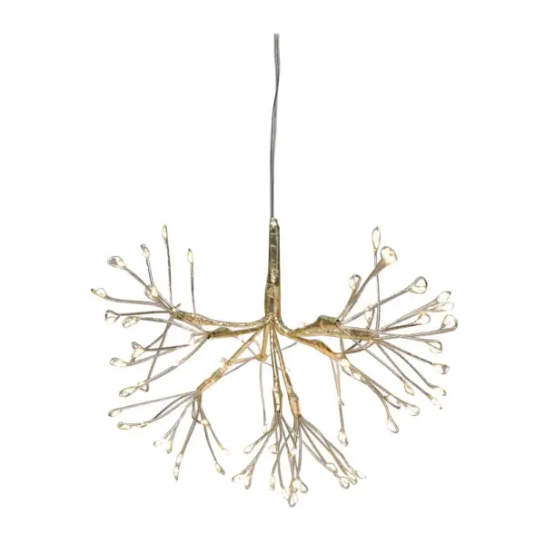 <p>Vianočné osvetlenie MagicHome Ohňostroj s LED osvetlením je vkusným doplnkom na rozžiarenie vášho exteriéru počas vianočného obdobia. Osvetlenie má rozmer 7x6x20 cm. Farba osvetlenia je teplá biela s počtom LED 72. Napájanie zabezpečujú batérie typu 3xAA