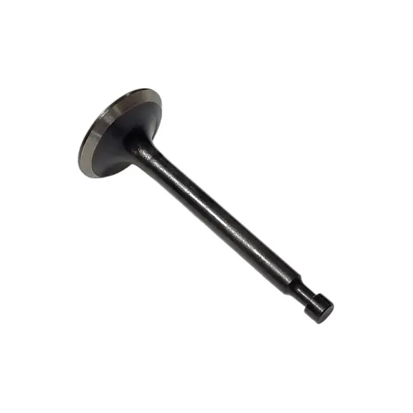 Sací ventil pre rotavátor Strend Pro QK60 3Q4095