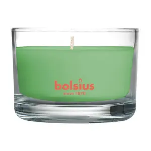 Nechajte vôňu zeleného čaju stimulovať vaše zmysly a osviežiť vás svojou ľahkosťou. Stačí zapáliť sviečku v pohári zo série True Scents a dopriať si blažené chvíle relaxu v spoločnosti nádhernej vonnej sviečky. Ucítite v nej kyslastú arómu lístkov zeleného čaju