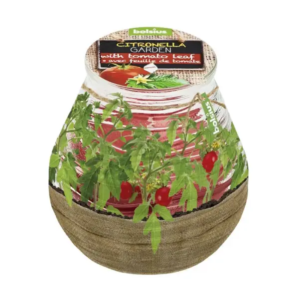 <p><strong>Vonkajšia terasová sviečka</strong> Bolsius Terrace Citronella<strong> proti komárom s citrusovou vôňou</strong> s <strong>nádychom paradajkového listu</strong> Vám spríjemní posedenia na záhrade a terase.  Špeciálna konzistencia zaisťuje lepšie horenie pre vonkajšie použitie. </p>