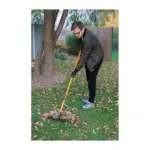 majú 14 zubov a dĺžku 150 cm.