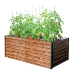 čo podporuje rast rastlín a predĺženie vegetačnej doby.