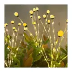 Lampa Strend Pro Garden Floro, solárna, 42xLED, 66 cm - Image 4